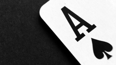 casino bonuses and stock picks