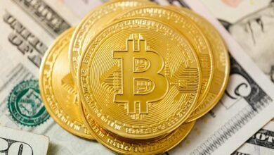 essential stocks for investors