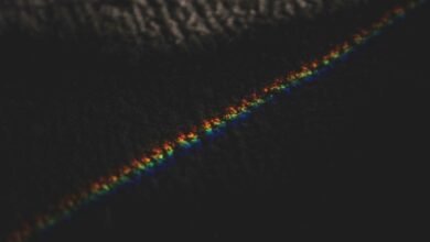 alpha flux catalyst model