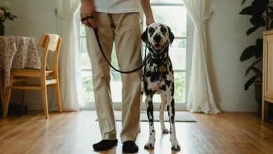 caller complaint regarding alerts