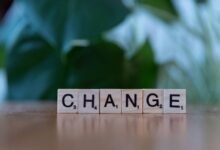 evolutionary growth strategy concept