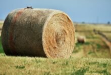 fusion node expansion strategy