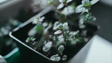 innovative approaches for solutions