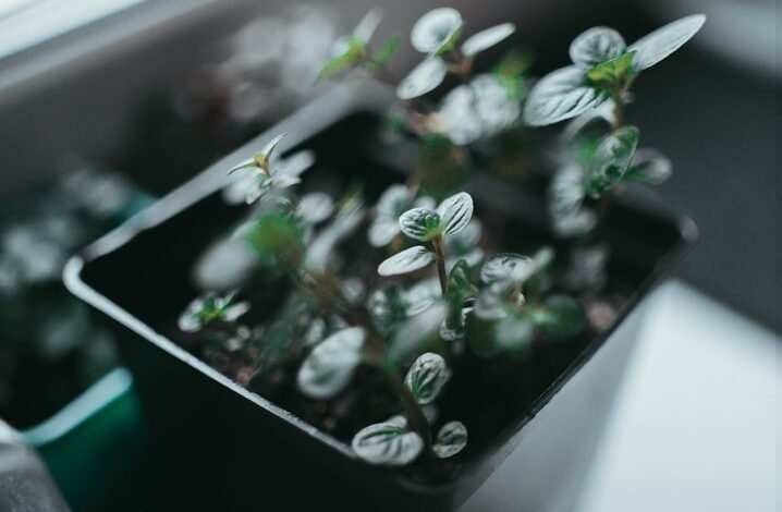 innovative approaches for solutions