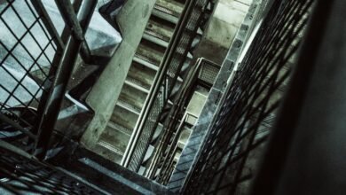 vertex surge growth orbit