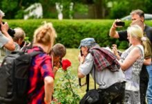 amateurist gaining online attention