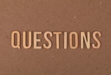common questions about 8133644313