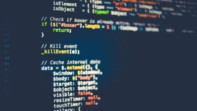how wuvdbugflox works explanation and impact