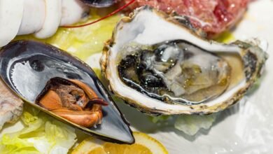 oyster shells reveal benefits