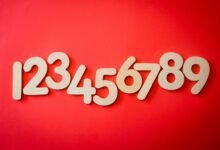 phone number with area code 7196357321
