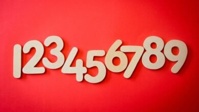 phone number with area code 7196357321