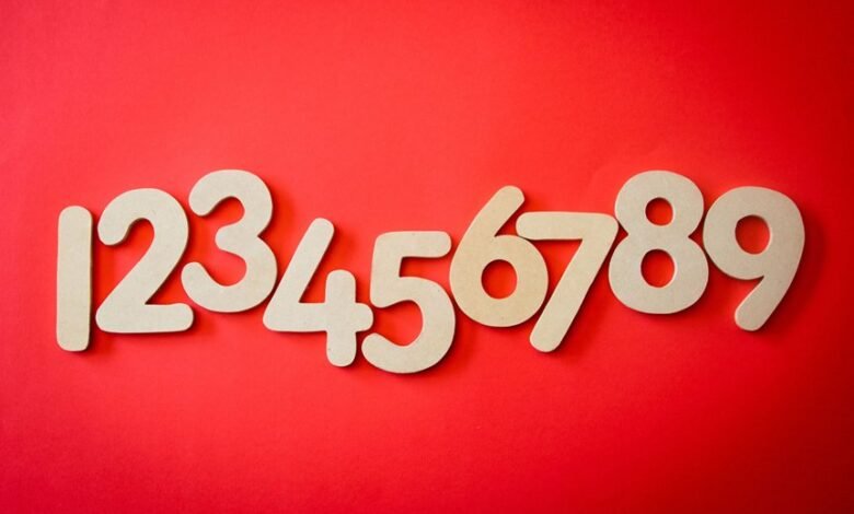 phone number with area code 7196357321