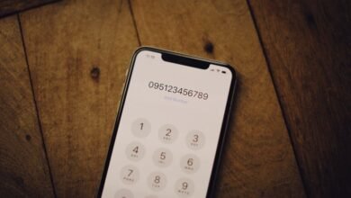 top facts about 4027133034